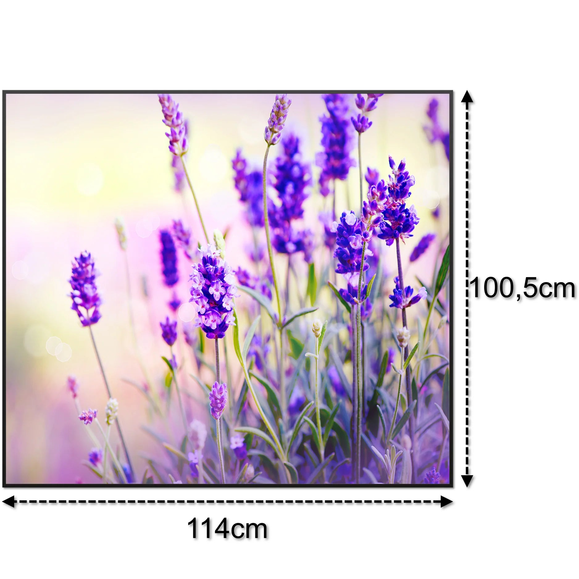 SLIKA IC panel (MOTIV 061: lavanda)