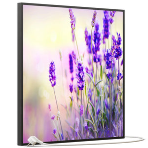 SLIKA IC panel (MOTIV 061: lavanda)