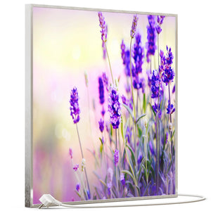 SLIKA IC panel (MOTIV 061: lavanda)