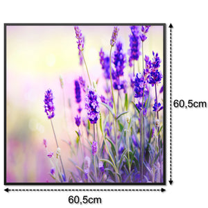 SLIKA IC panel (MOTIV 061: lavanda)